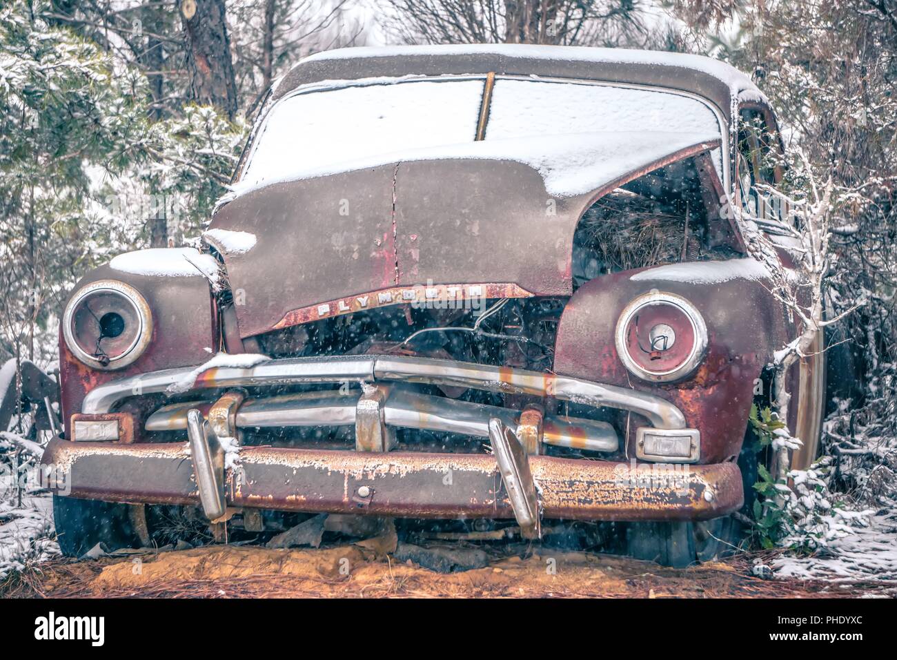Old abandoned cars in woods hi-res stock photography and images - Alamy
