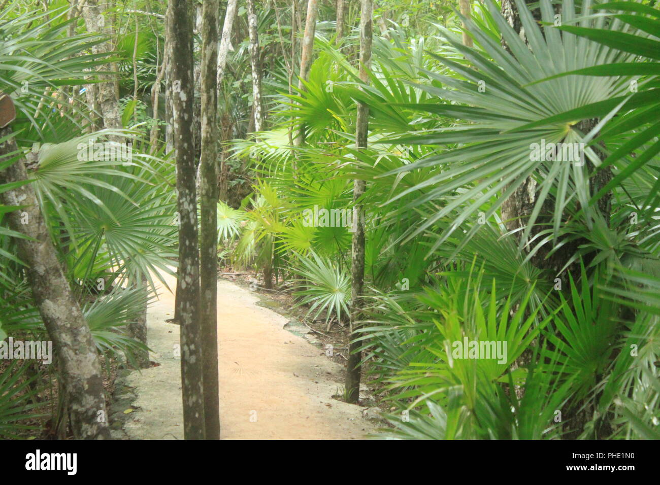 Paisaje natural hi-res stock photography and images - Alamy