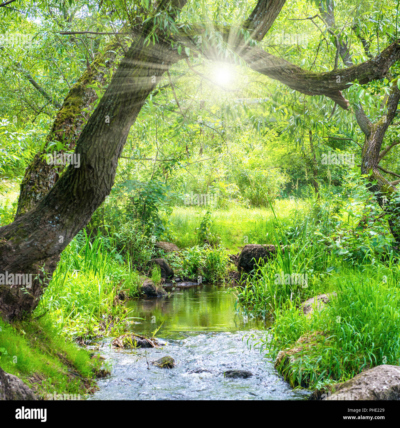 Light stream in environment hi-res stock photography and images - Alamy