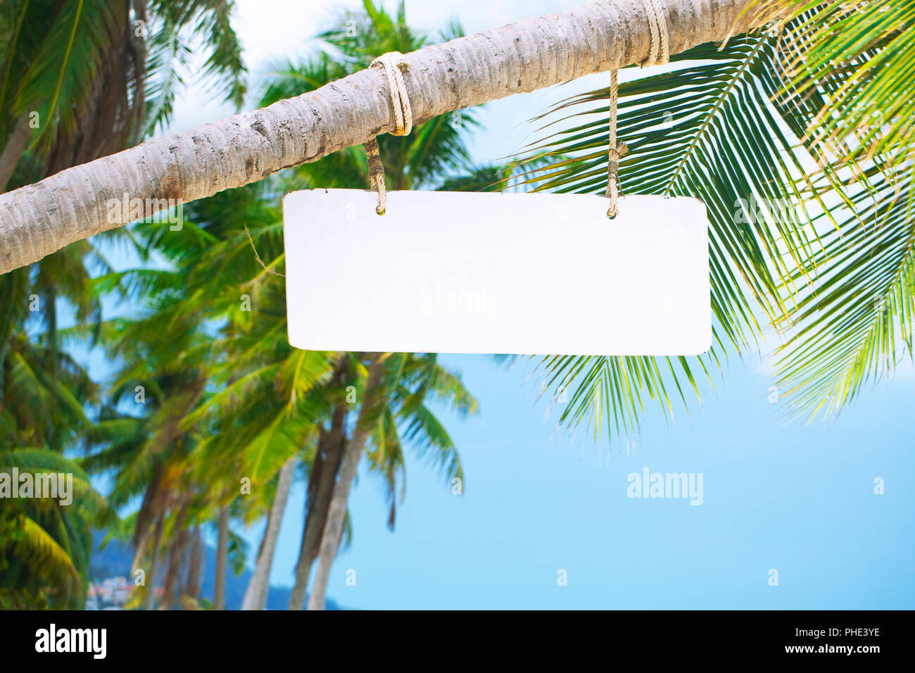 Wooden signboard on a palm tree at the beach bar Stock Photo - Alamy
