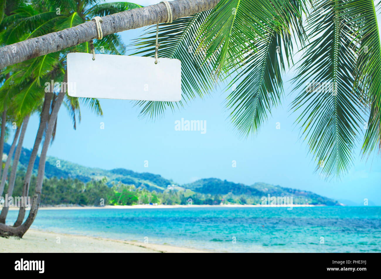 Wooden signboard on a palm tree at the beach bar Stock Photo - Alamy
