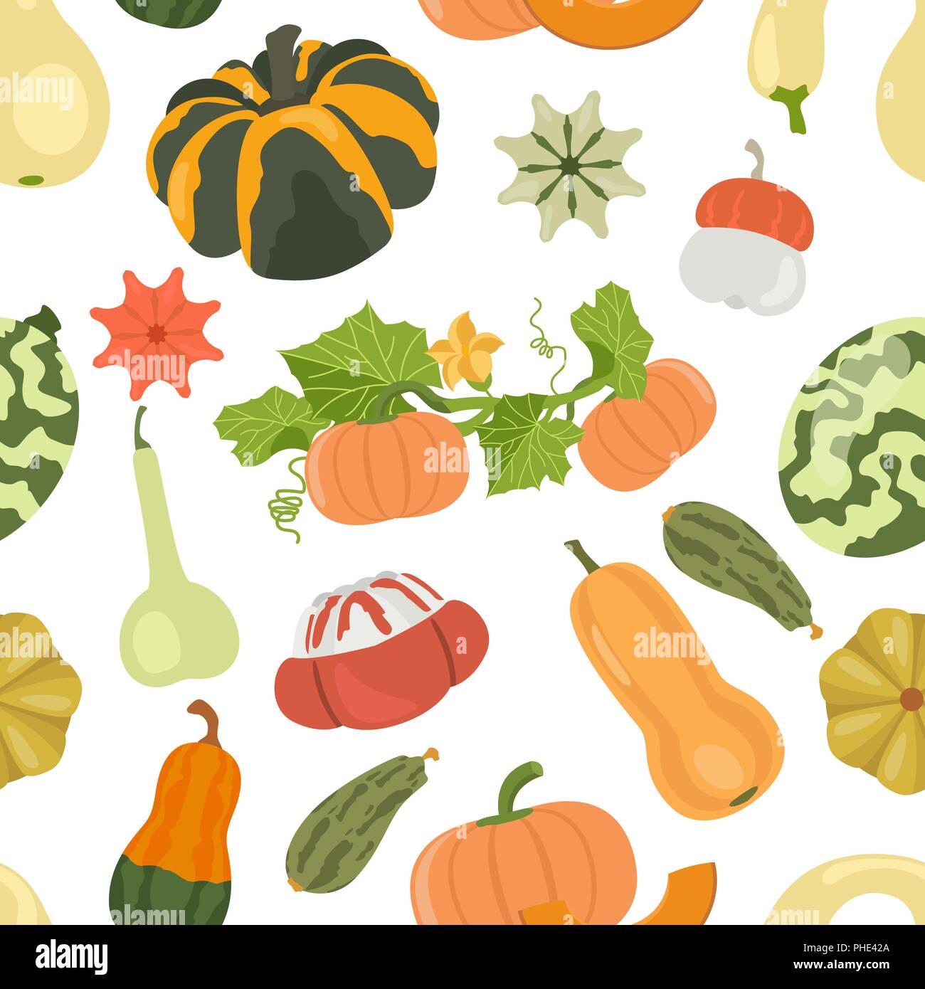 Variety of pumpkins. Flat design seamless pattern. Vector illustration ...