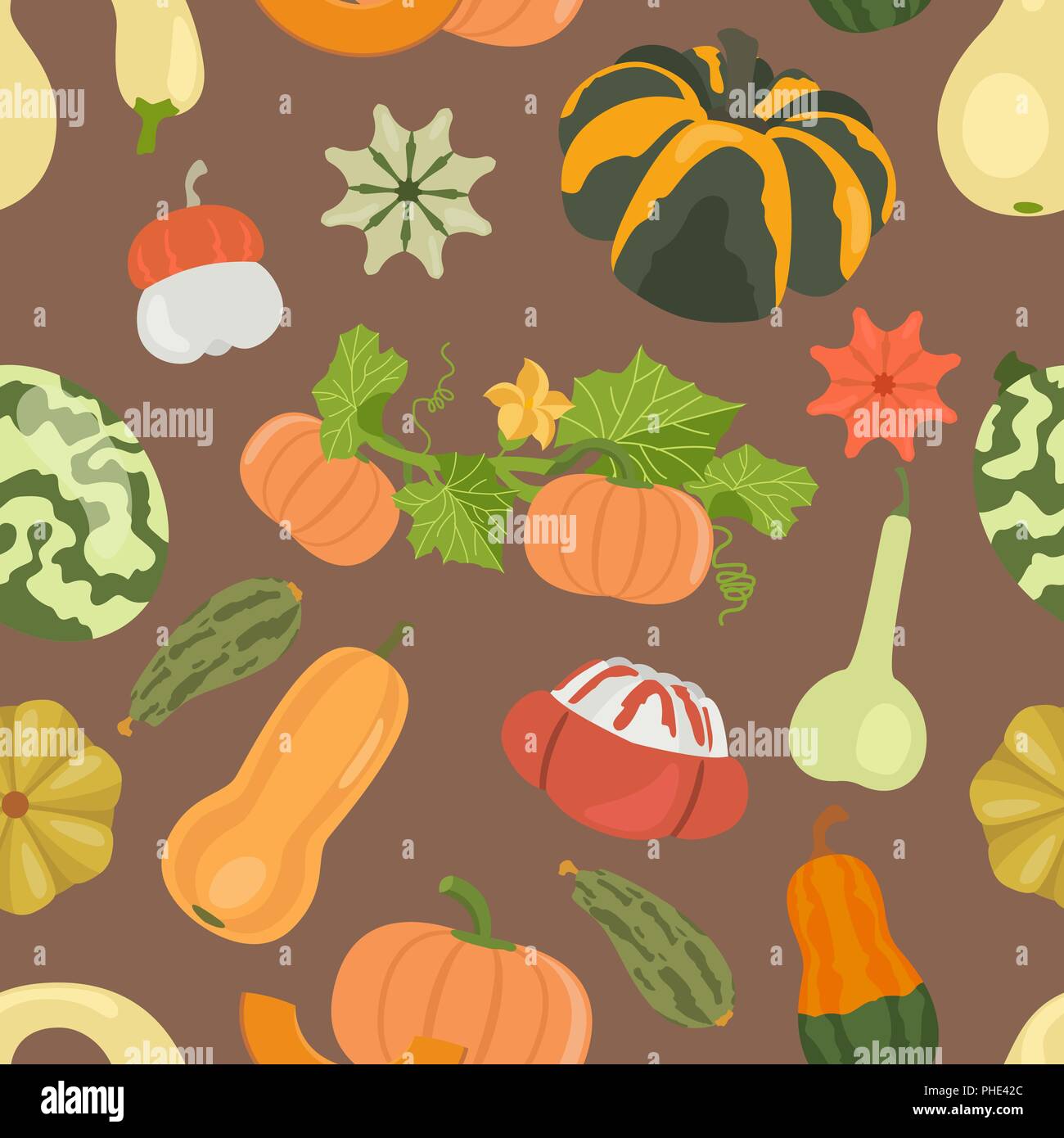 Variety of pumpkins. Flat design seamless pattern. Vector illustration ...