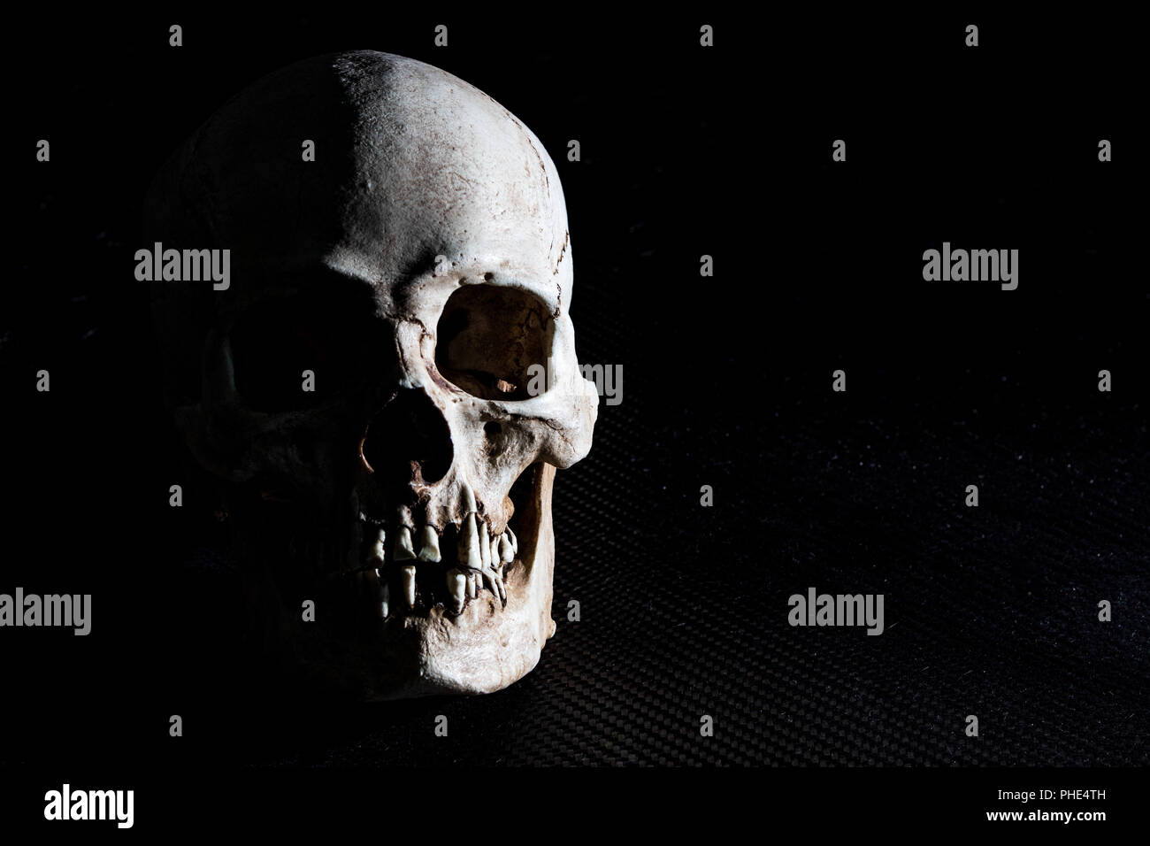 Human skeleton skull head isolated on black Stock Photo