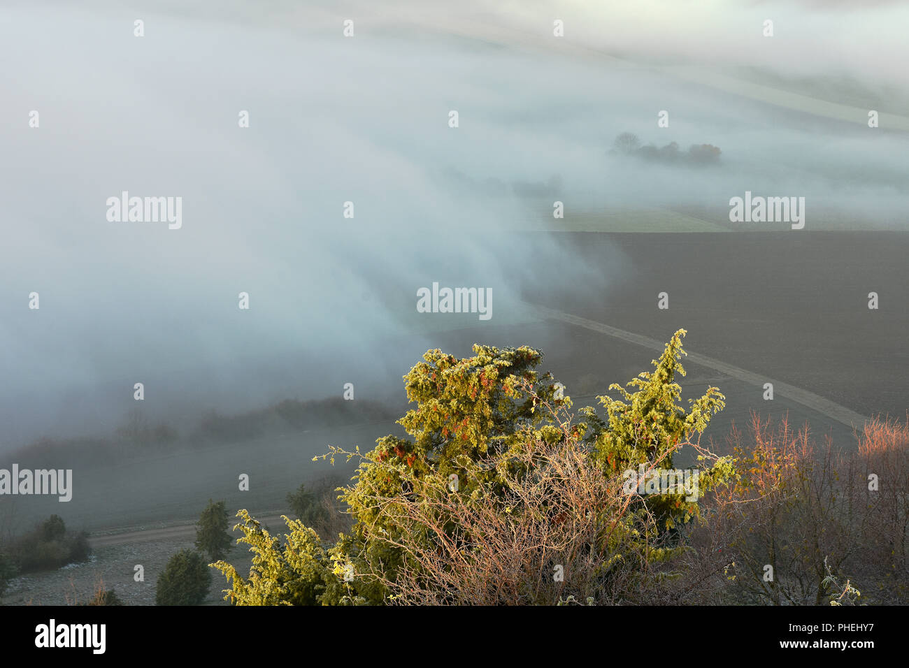 fog; landscape; swabian alb; Germany; Stock Photo