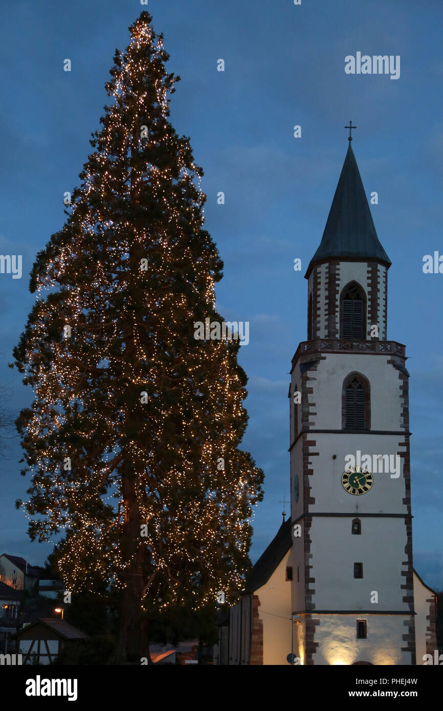 Germanys highest growing Christmas tree in Rheinfelden Stock Photo