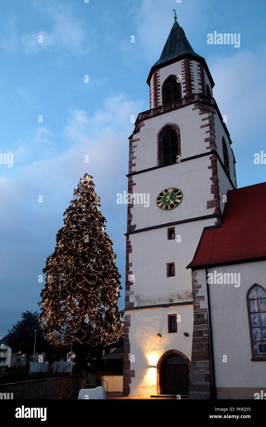 Germanys highest growing Christmas tree in Rheinfelden Eichsel Stock Photo