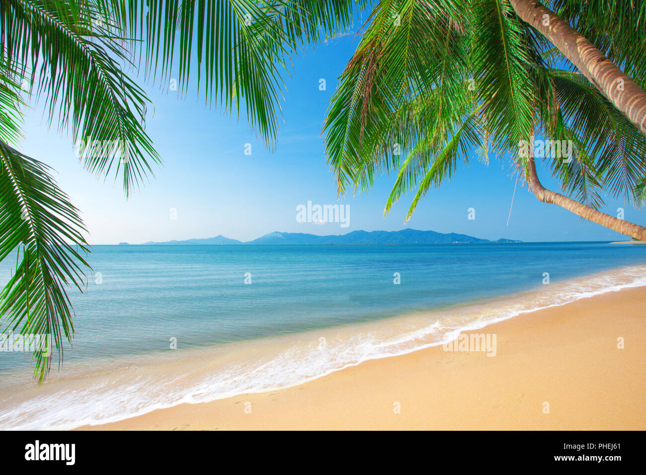 Tropical beach hi-res stock photography and images - Alamy