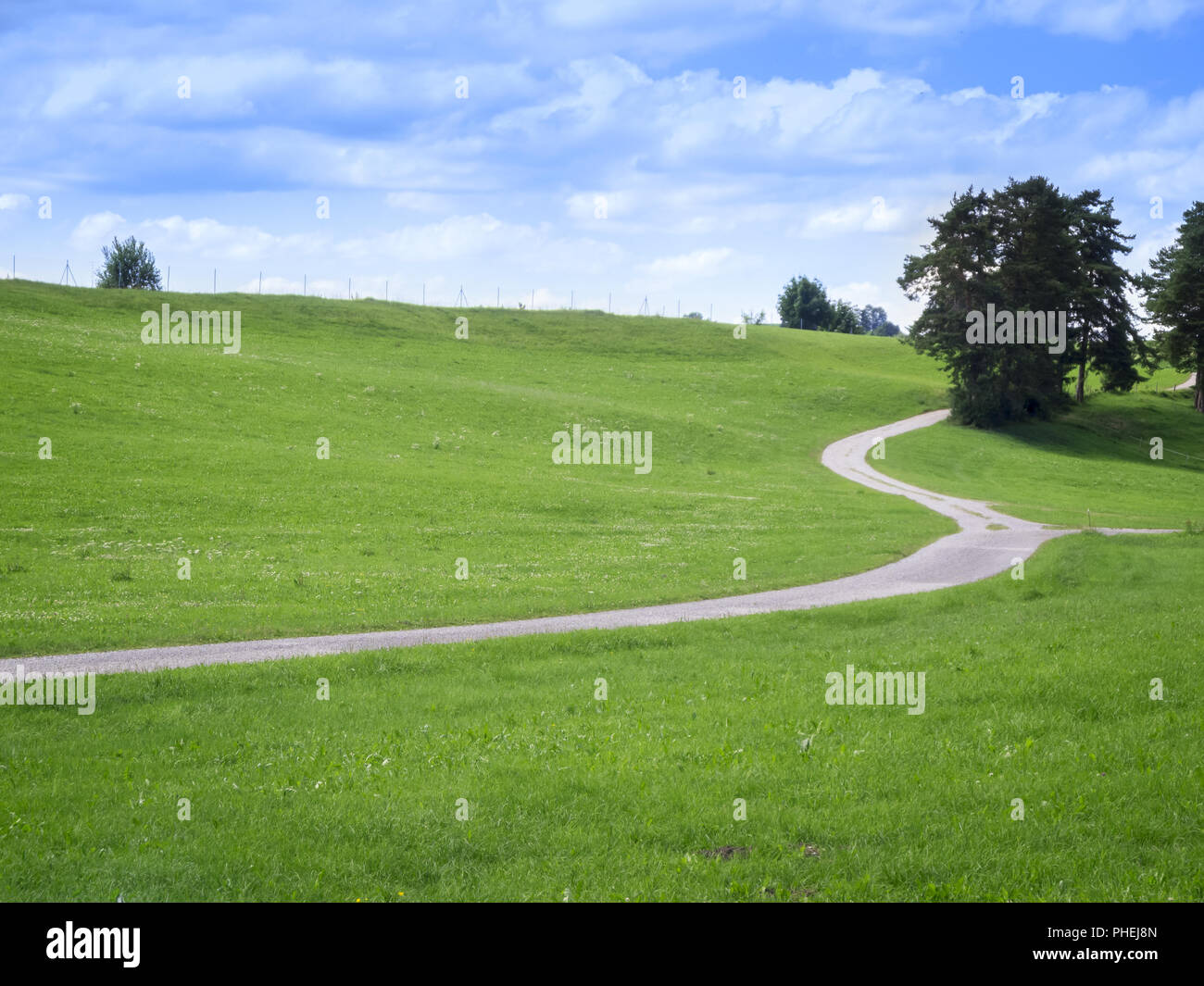 Alpine meadow with path Stock Photo Alamy