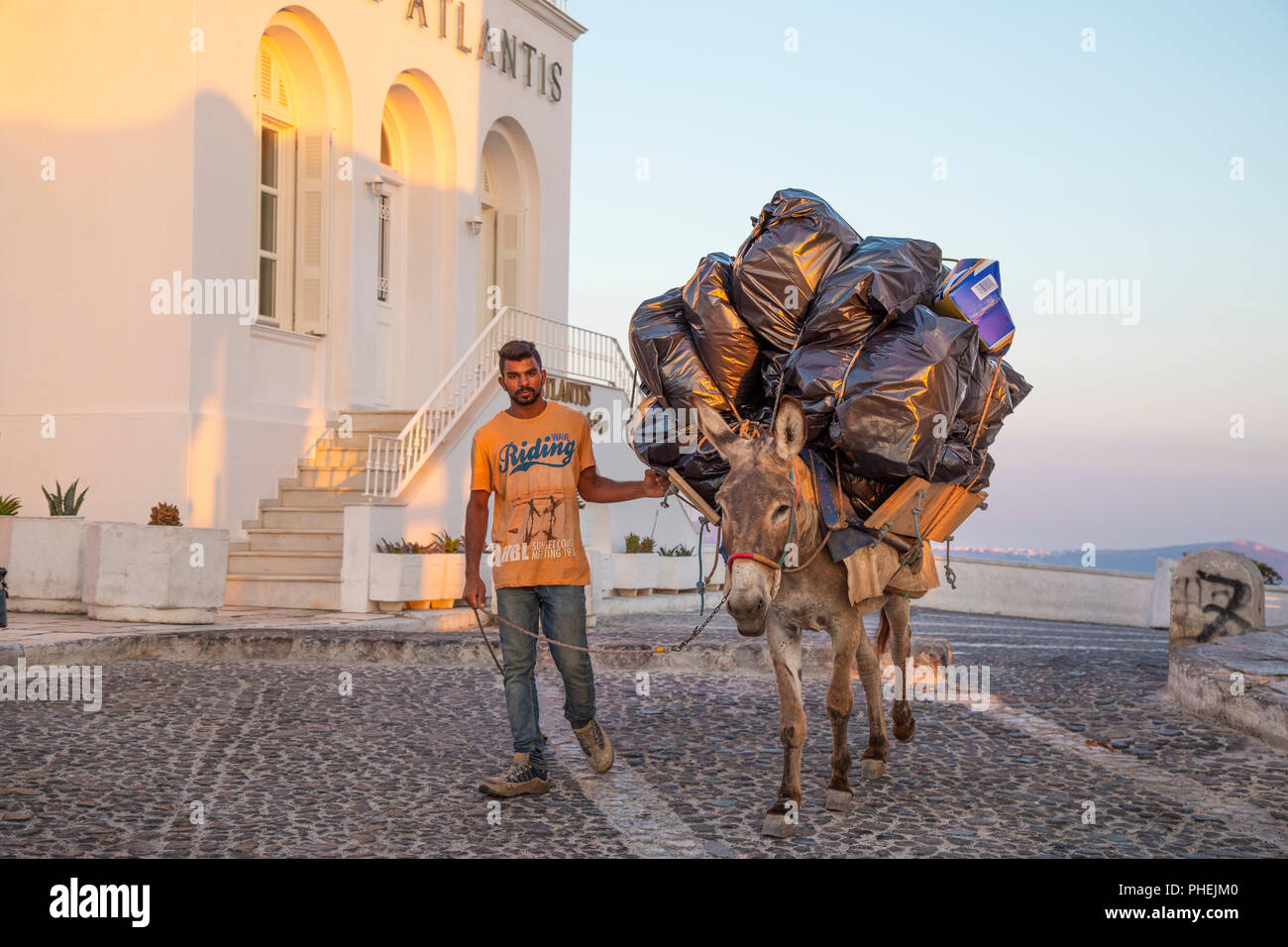 Local Greek man taking out the trash with donkey in Fira, Thira, Santorini Greece Stock Photo