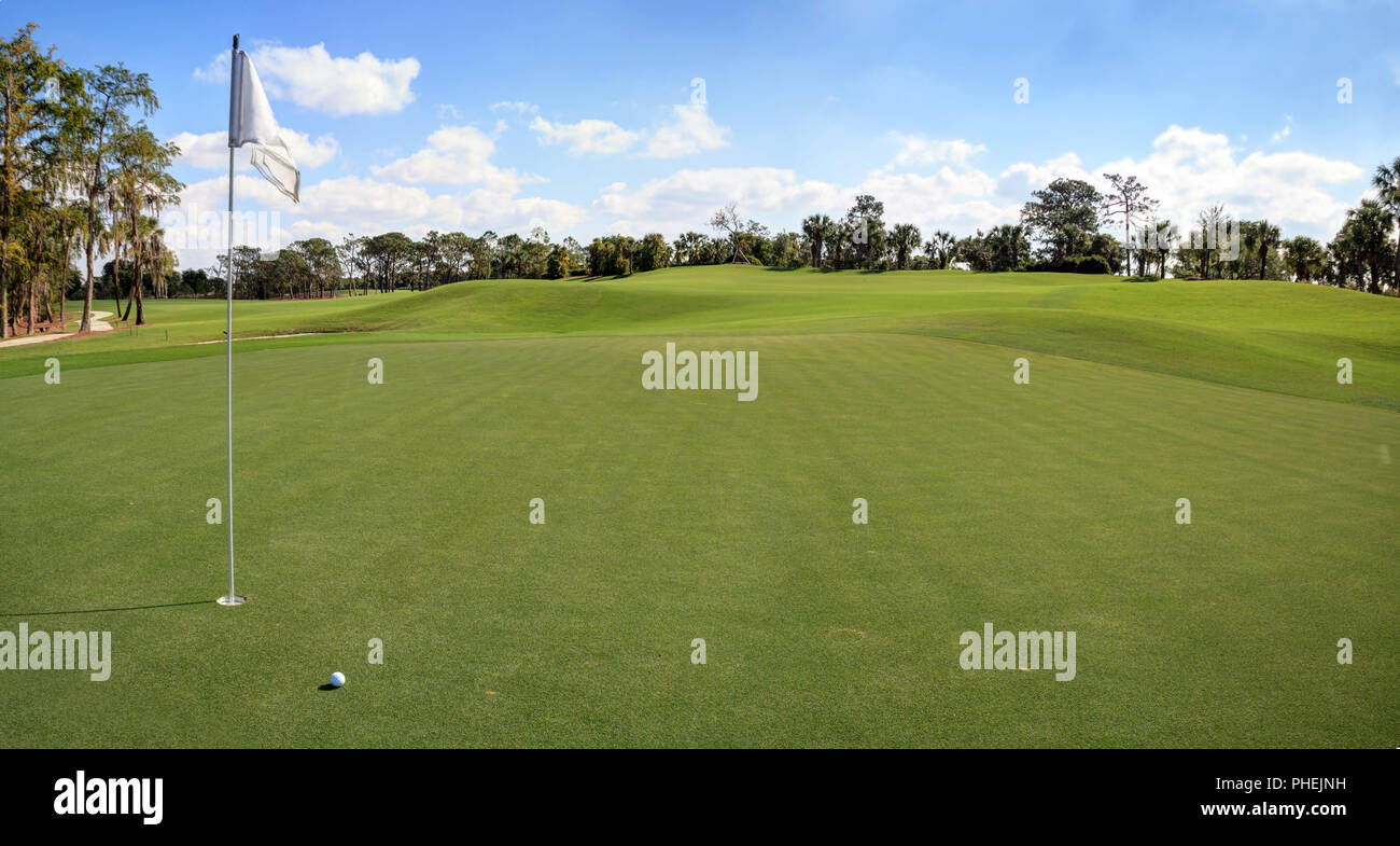 Lush green grass on a golf course Stock Photo