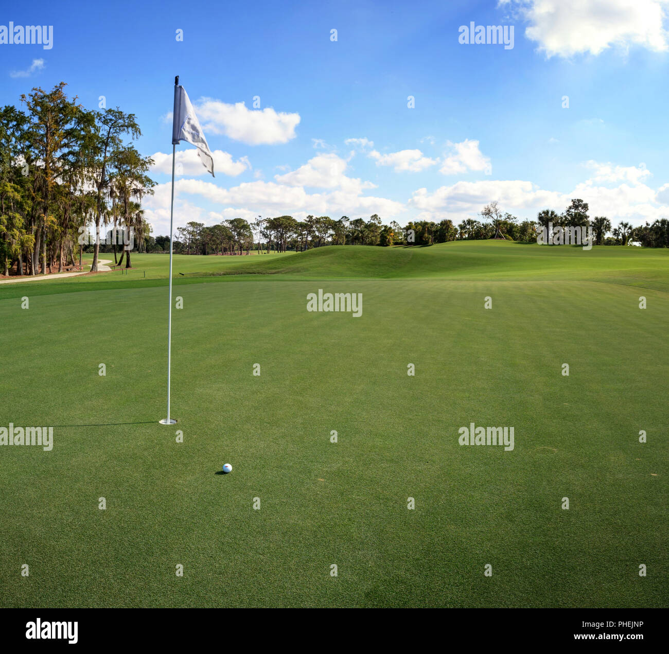 Lush green grass palm tree hi-res stock photography and images - Alamy