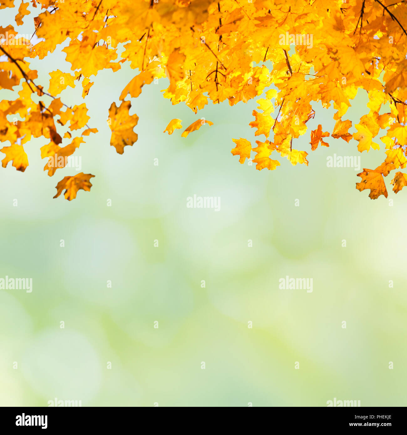 Golden orange yellow abstract hi-res stock photography and images - Alamy