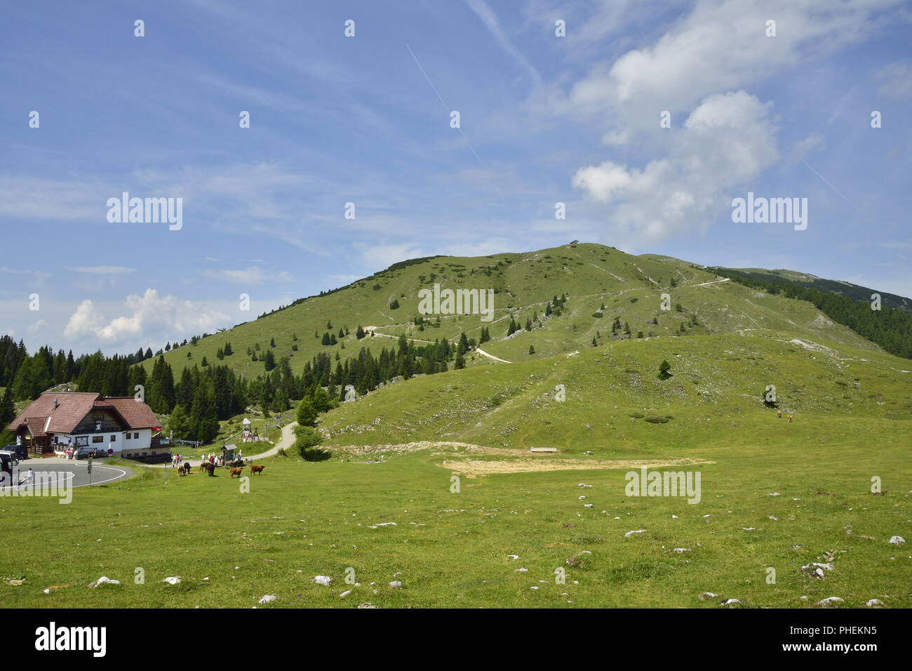 Baumgrenze obratsch arnische alpen hires stock photography and images Alamy