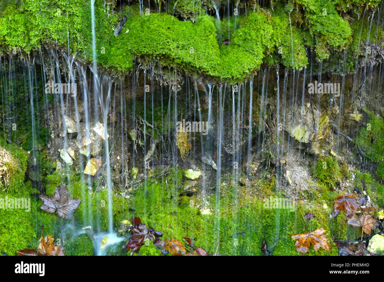 water leaks over moss Stock Photo
