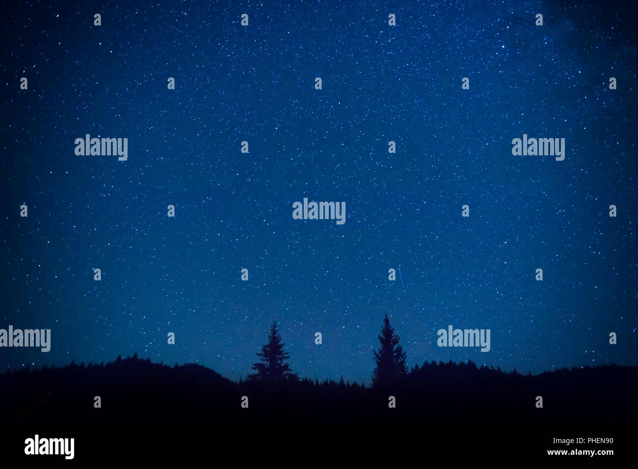 Dark blue night sky above the mistery forest Stock Photo