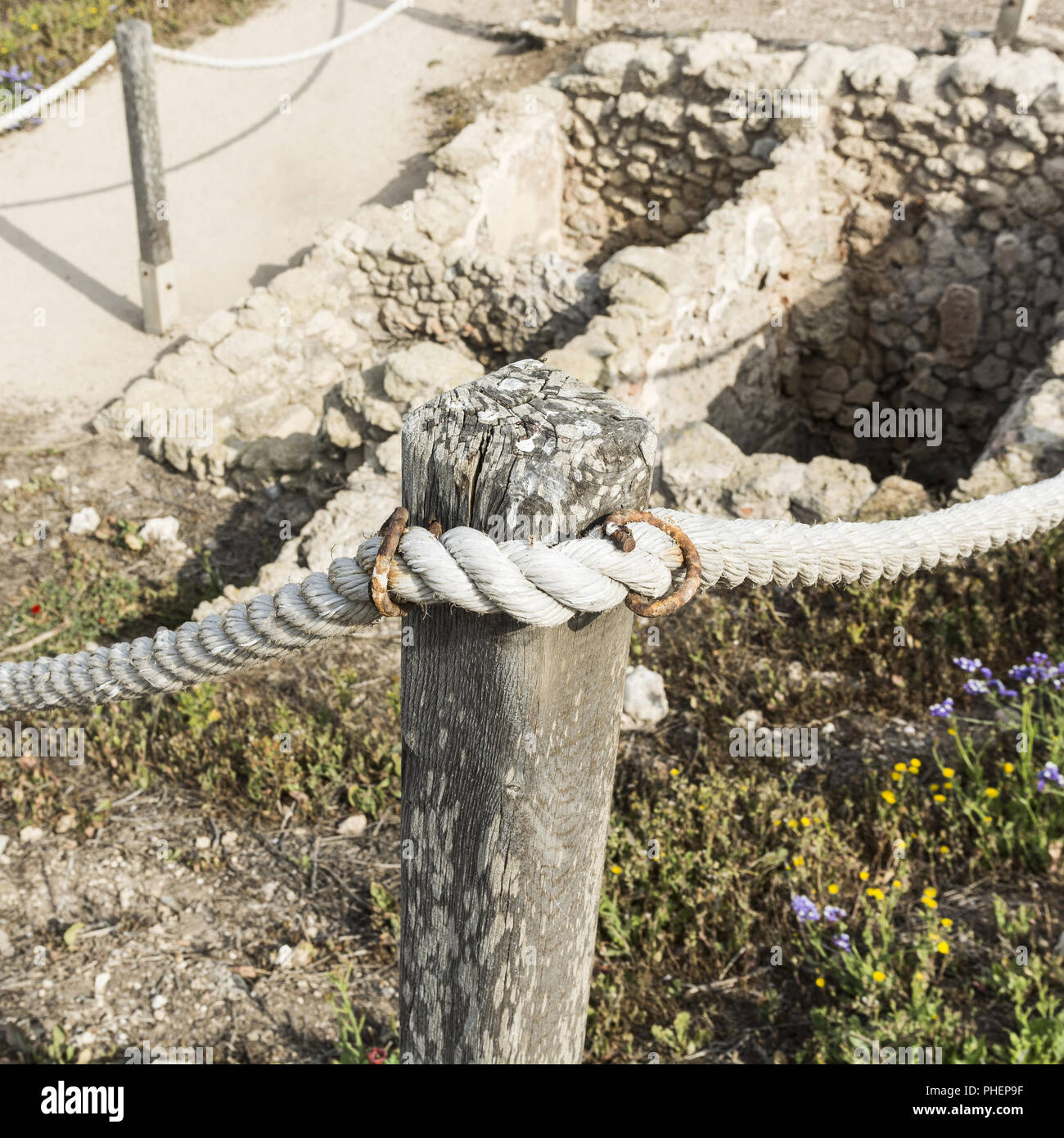 Holy rope flower hi-res stock photography and images - Alamy