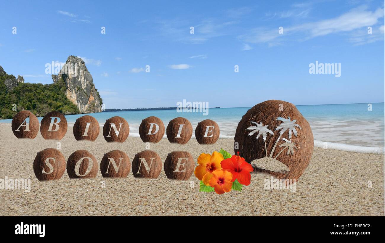 Coconuts on the beach Stock Photo Alamy