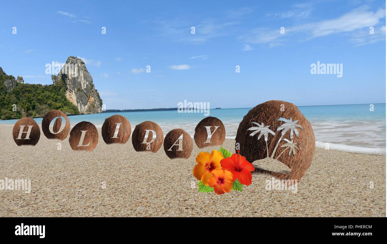 Coconuts on the beach Stock Photo Alamy