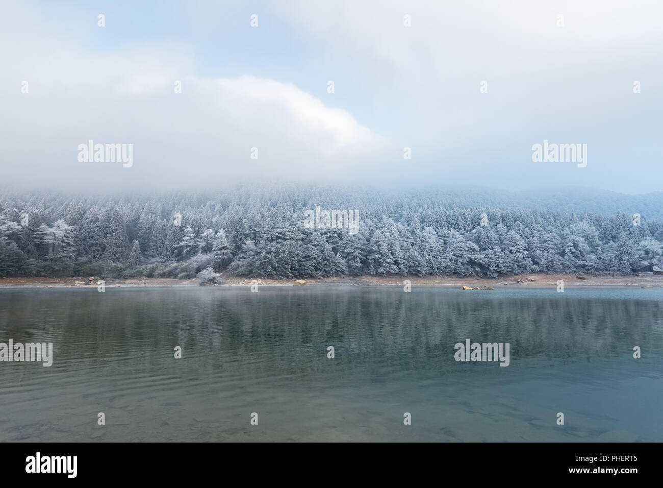 winter lake and forest Stock Photo