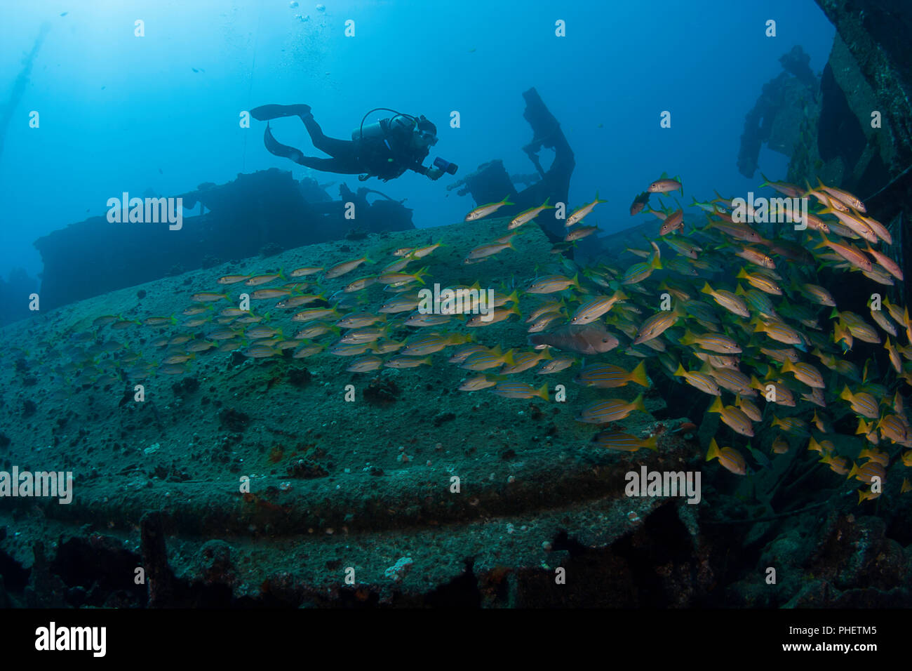 A diver exploring the wreck of the Mahi off the western coast of the