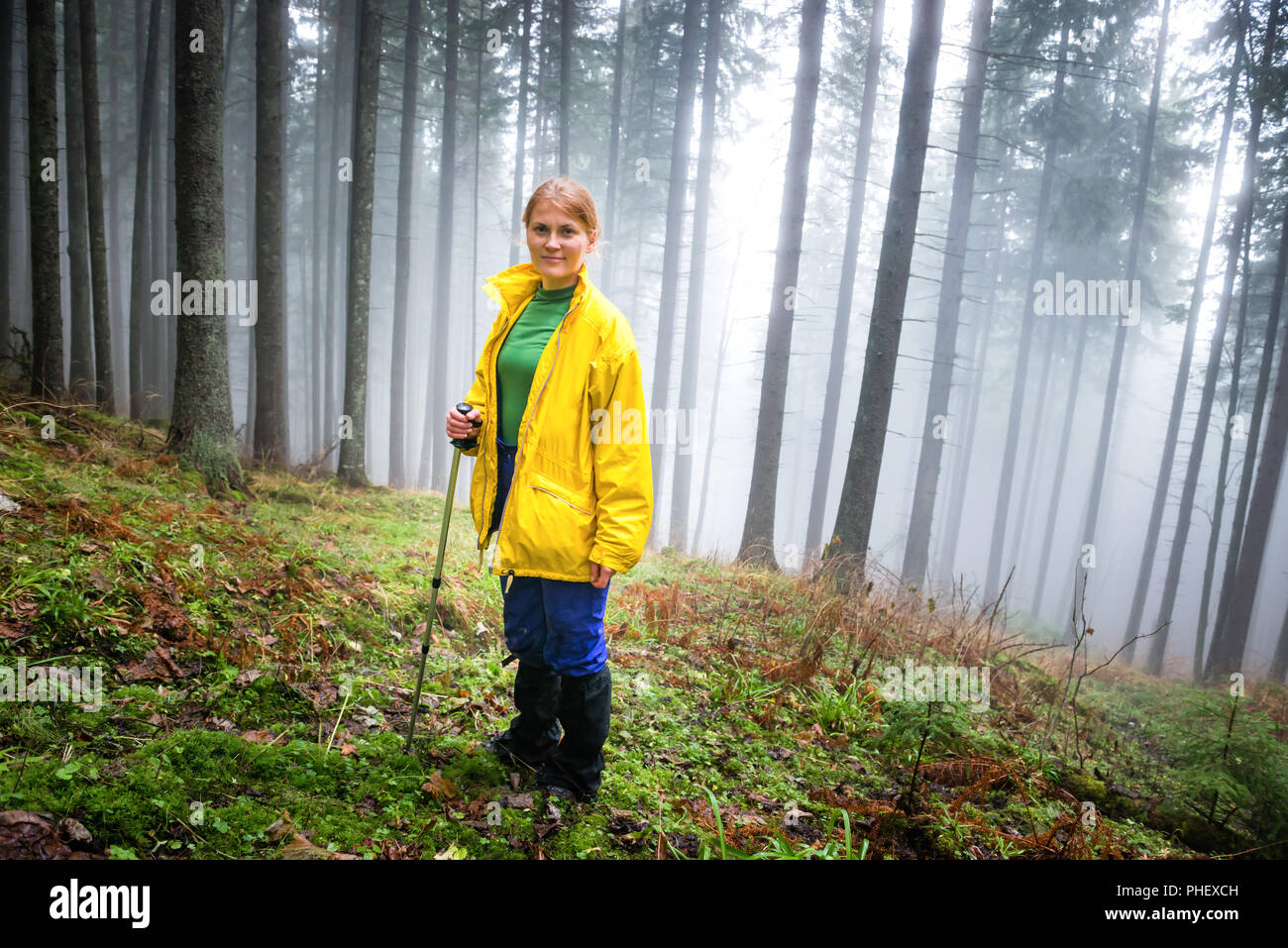 Pretty woman in mistery forest Stock Photo