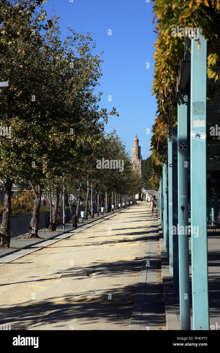 Goldener Turm High Resolution Stock Photography and Images - Alamy
