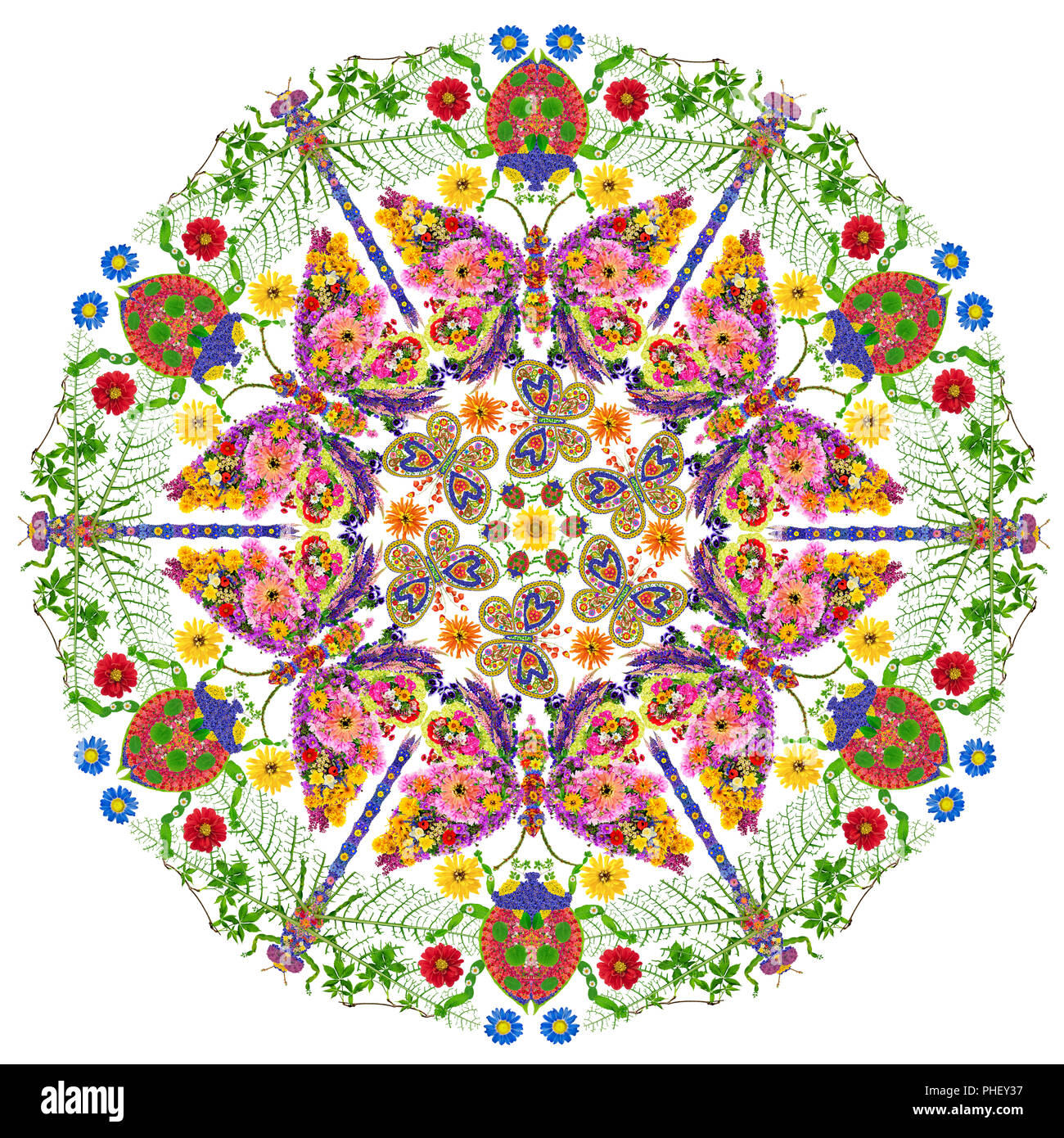 Insects mandala Stock Photo