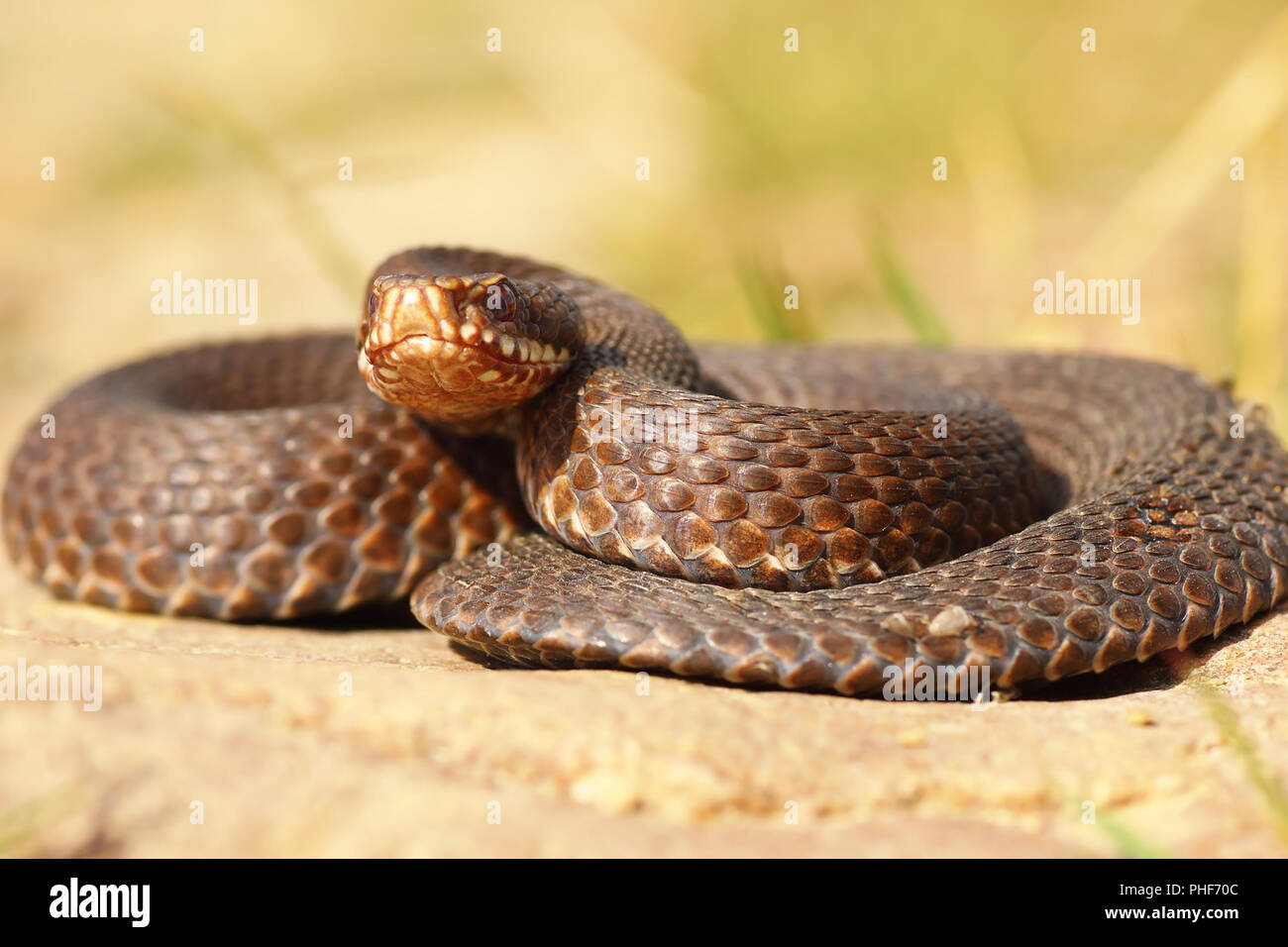 Full adder hi-res stock photography and images - Alamy