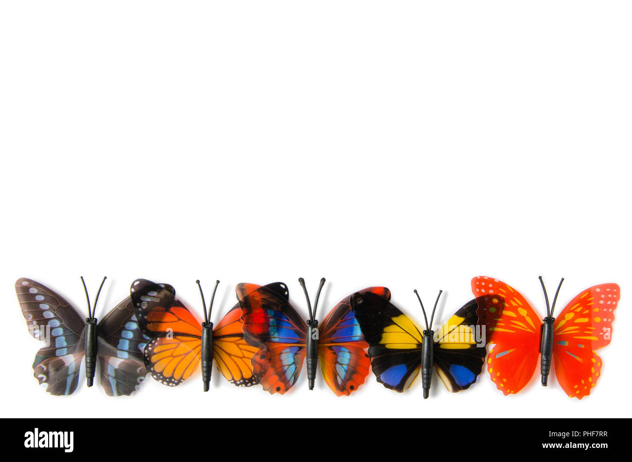 Colourful butterfly isolated on white background Stock Photo - Alamy