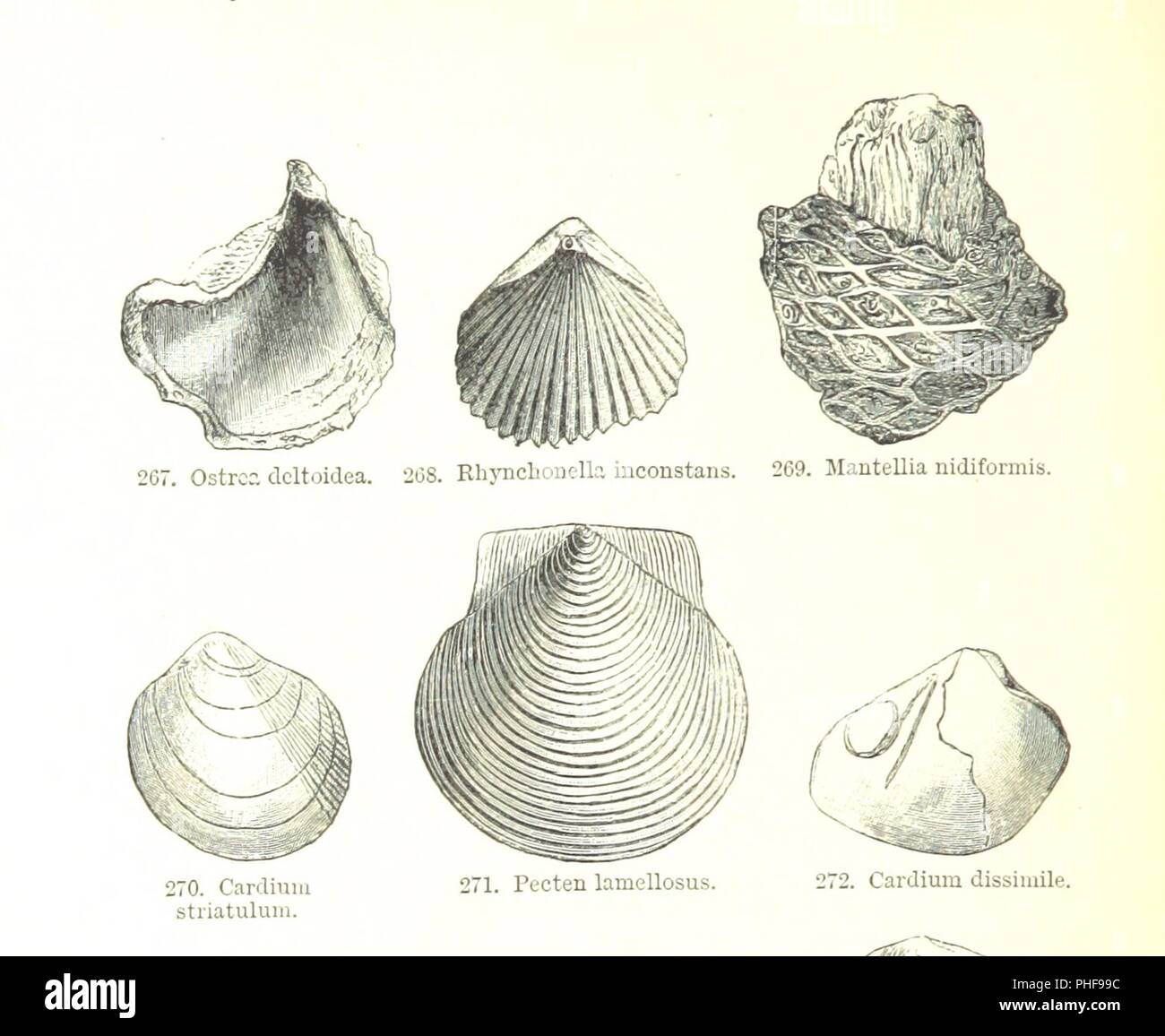 Revised geology hi-res stock photography and images - Alamy