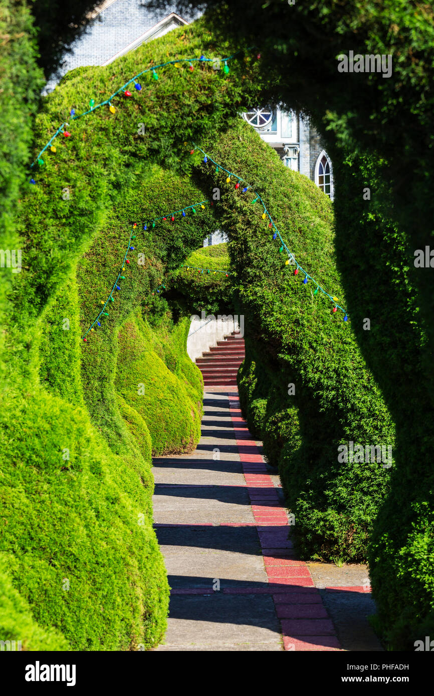 Garden in Costa Rica Stock Photo - Alamy