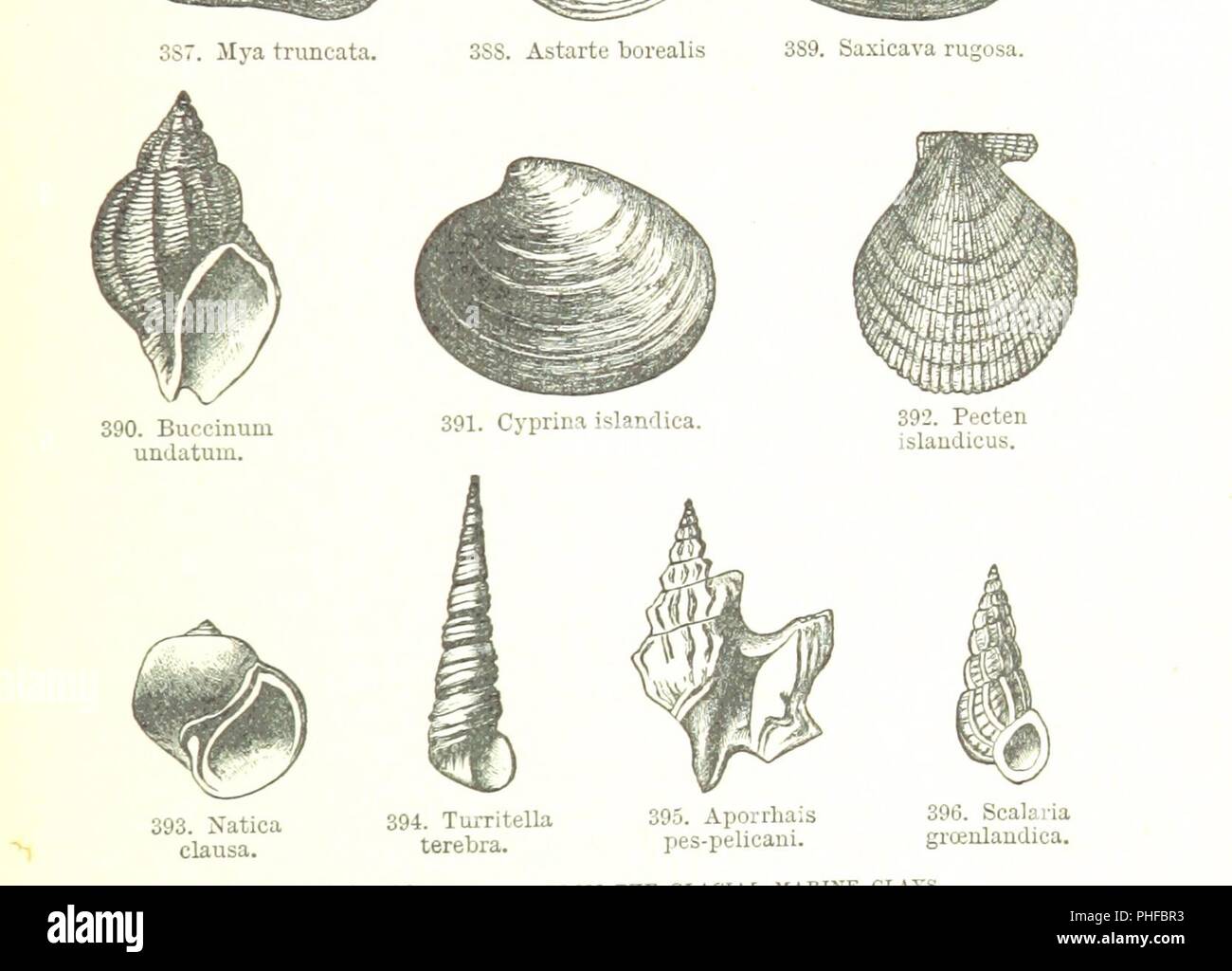 Revised geology hi-res stock photography and images - Alamy