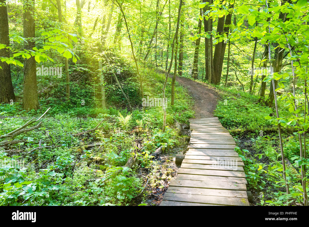 Green beam bridge hi-res stock photography and images - Alamy