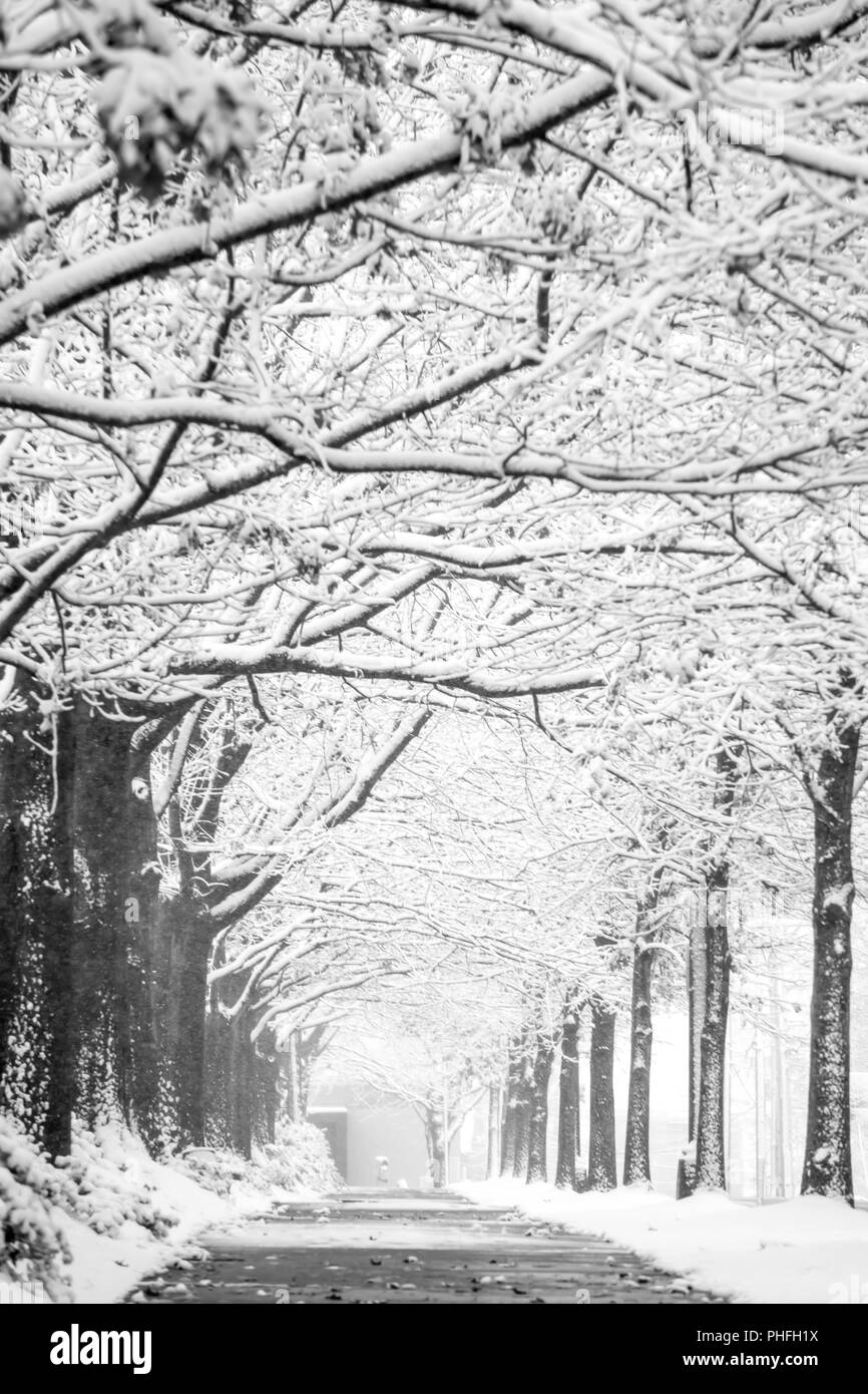 rare wintry mix around charlotte city streets in north carolina Stock Photo