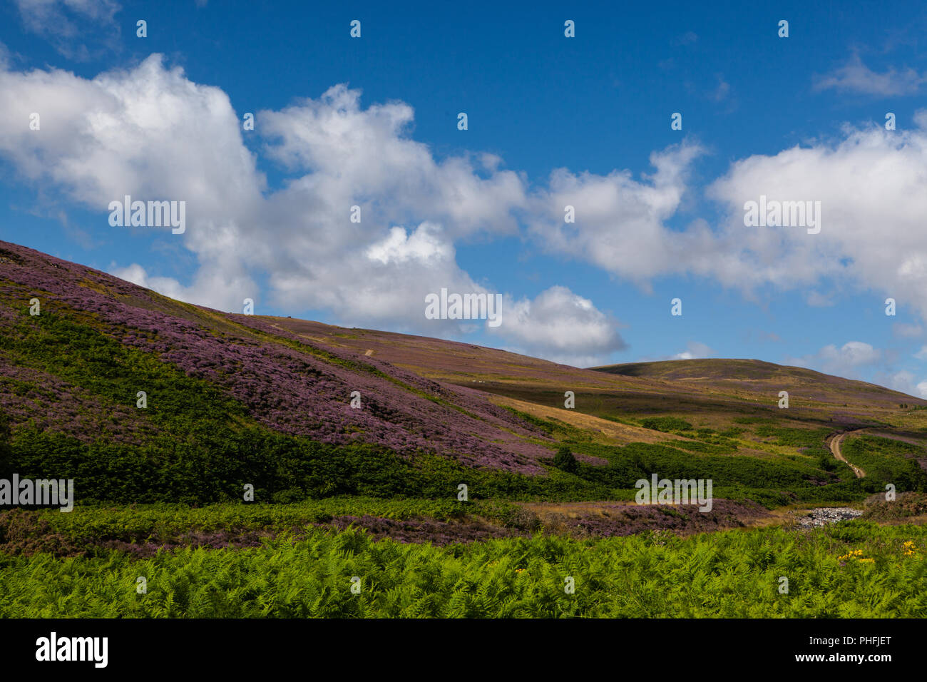 Hügellandschaft in Lothian Stock Photo