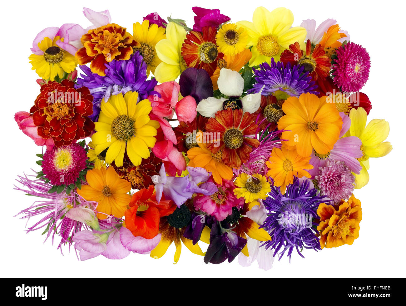 Floral chaos August collage Stock Photo