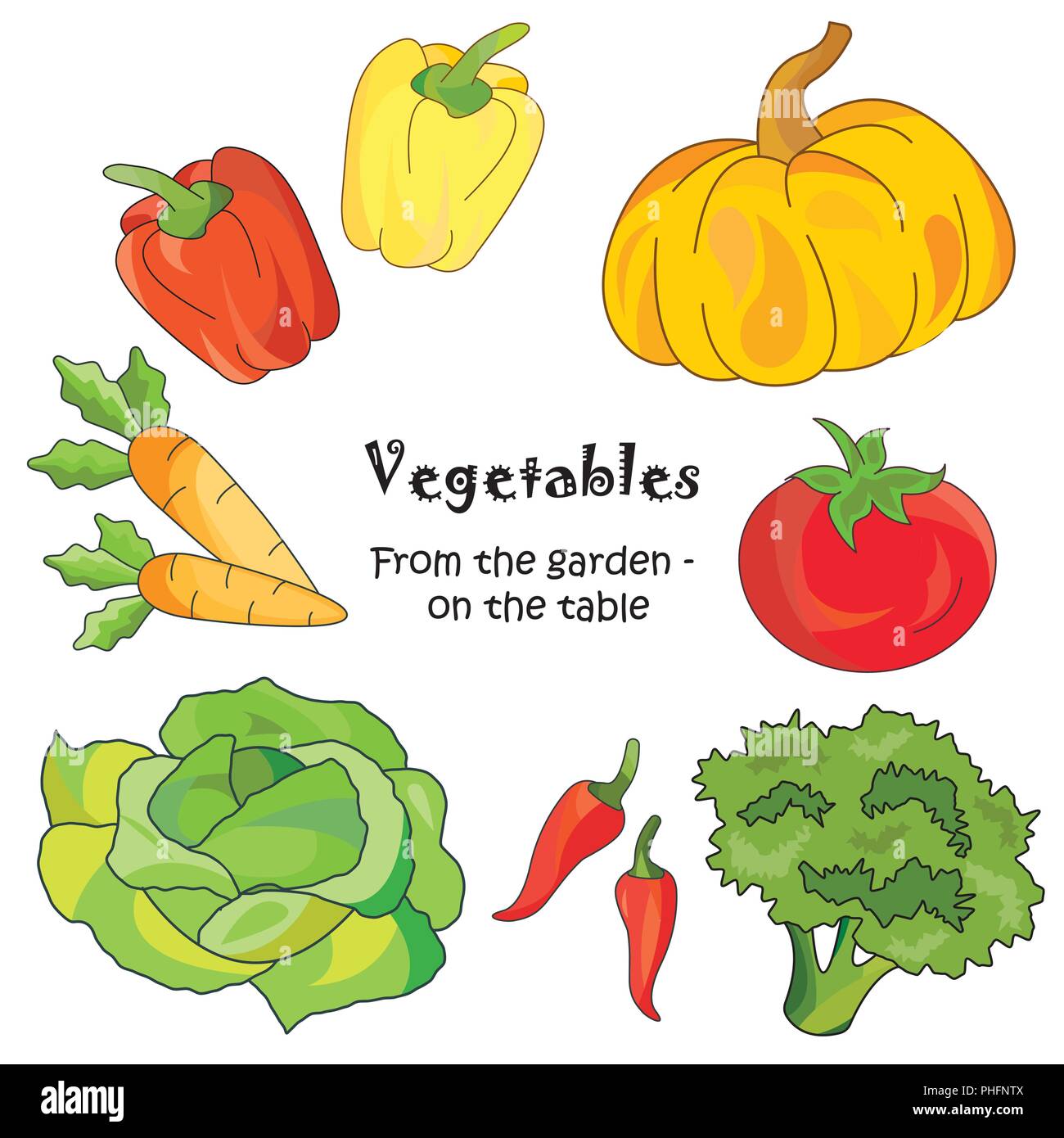 Color vector illustration. Vegetables icon on a white background Stock Vector