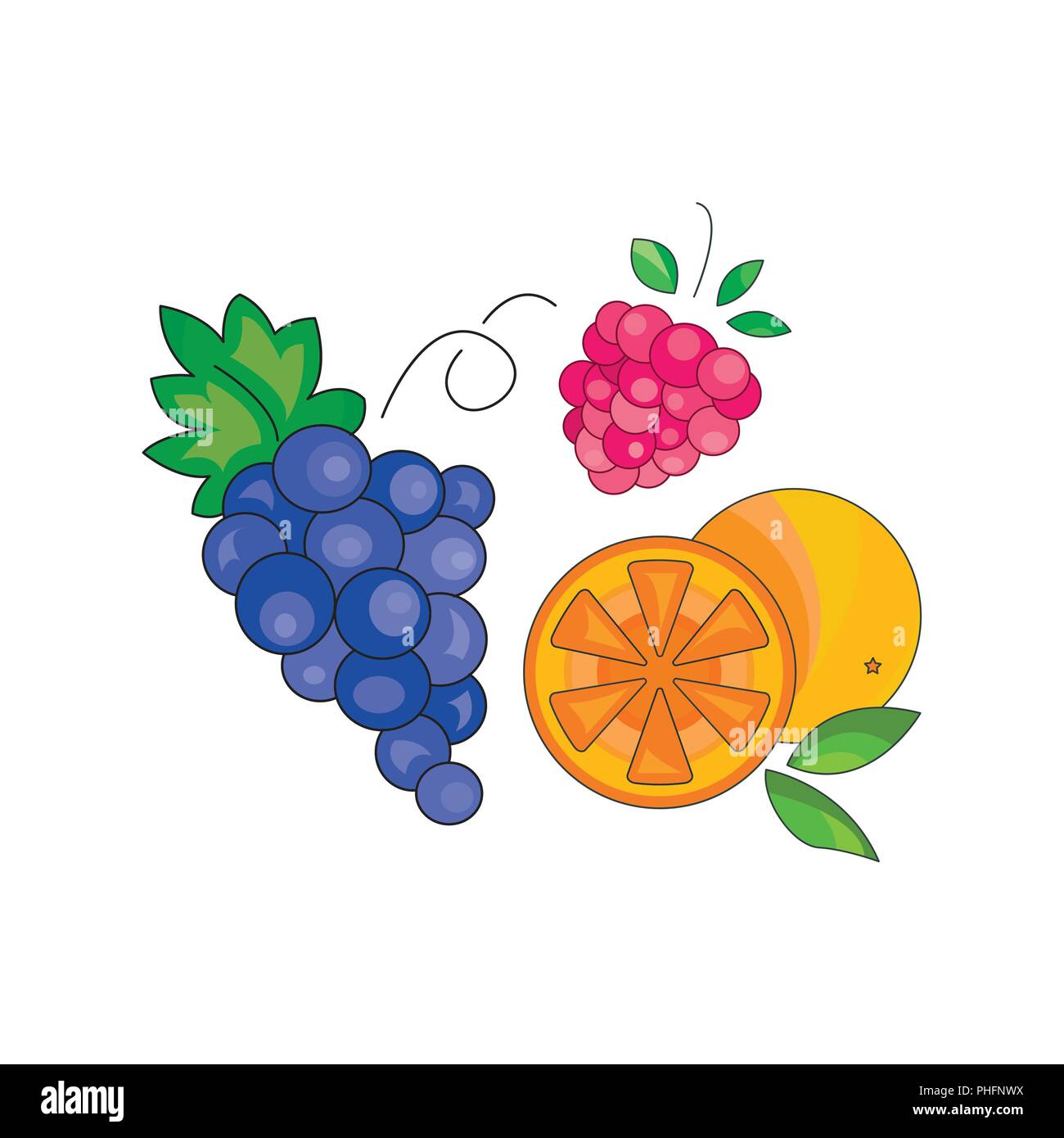 Color vector illustration. Fruit icon on a white background Stock Vector