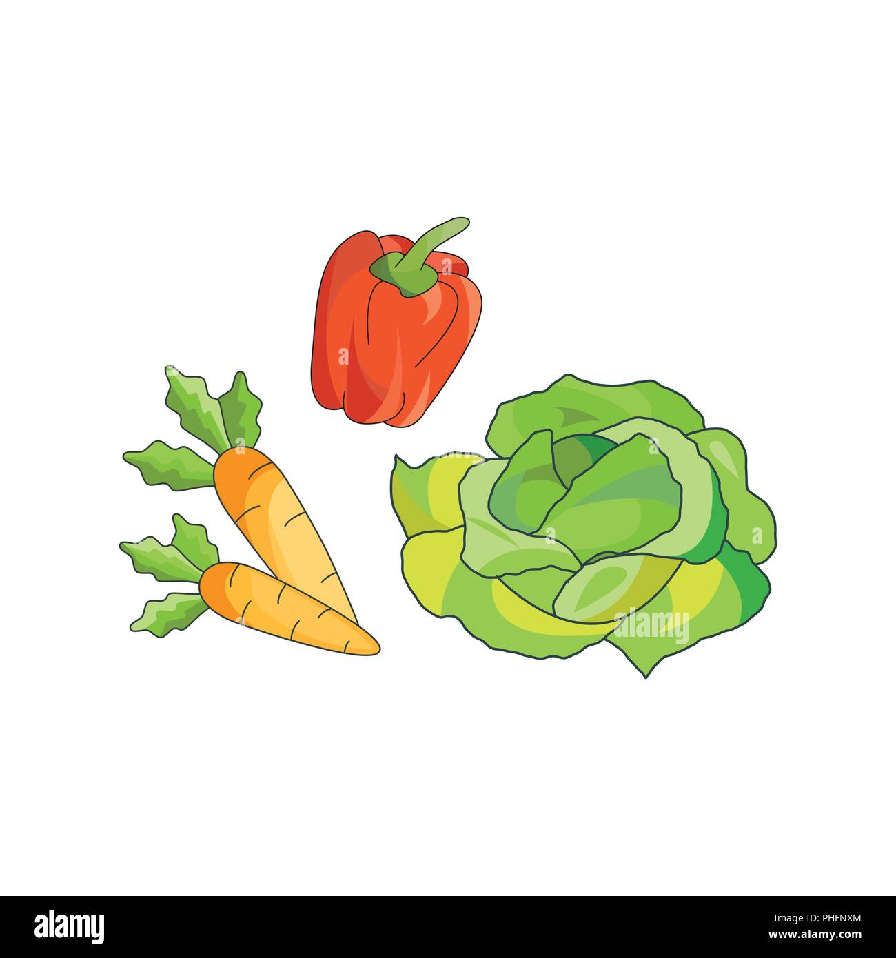 Color vector illustration. Vegetables icon on a white background Stock Vector