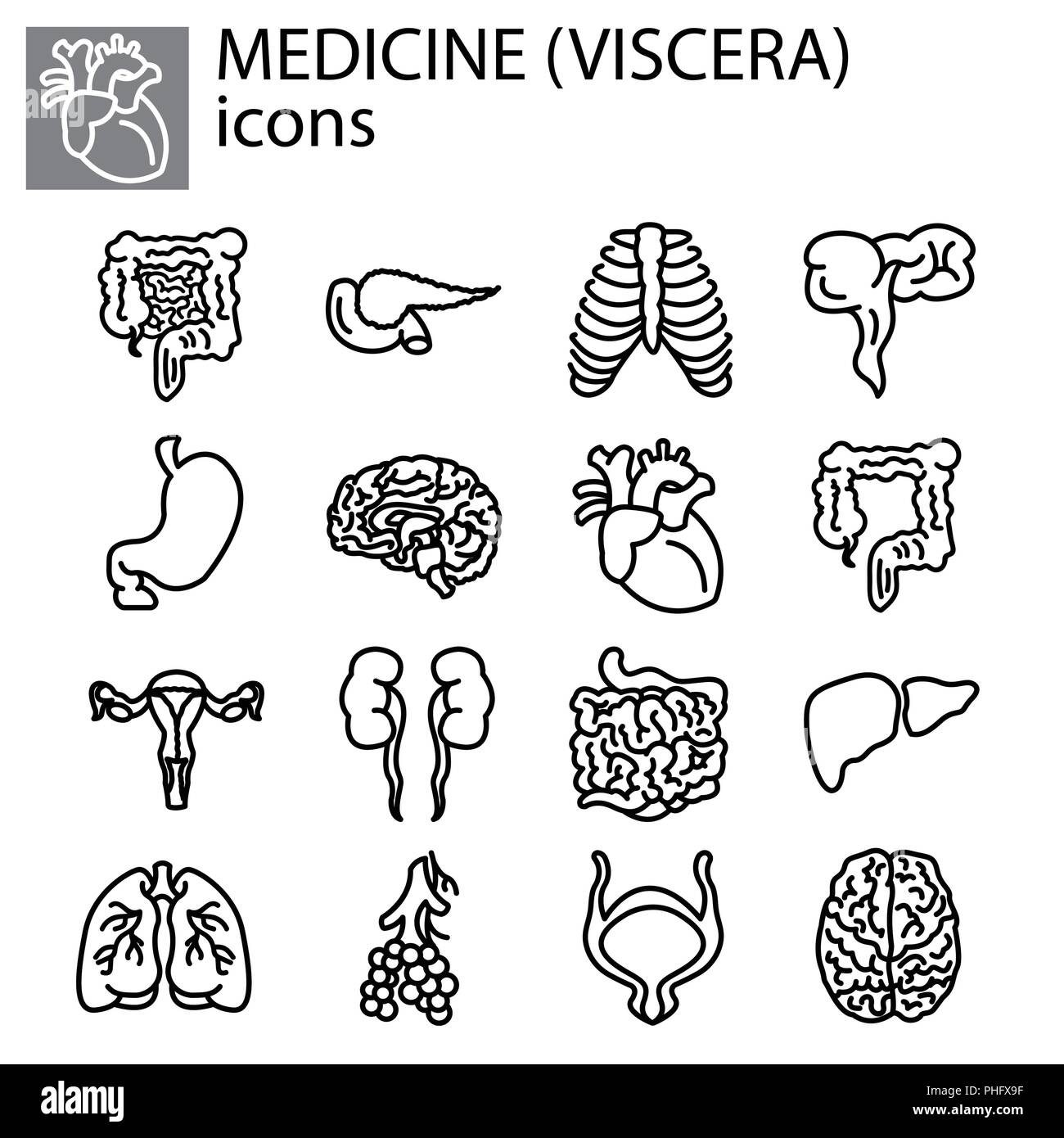 Web line set. Medicine, viscera black on white background Stock Vector