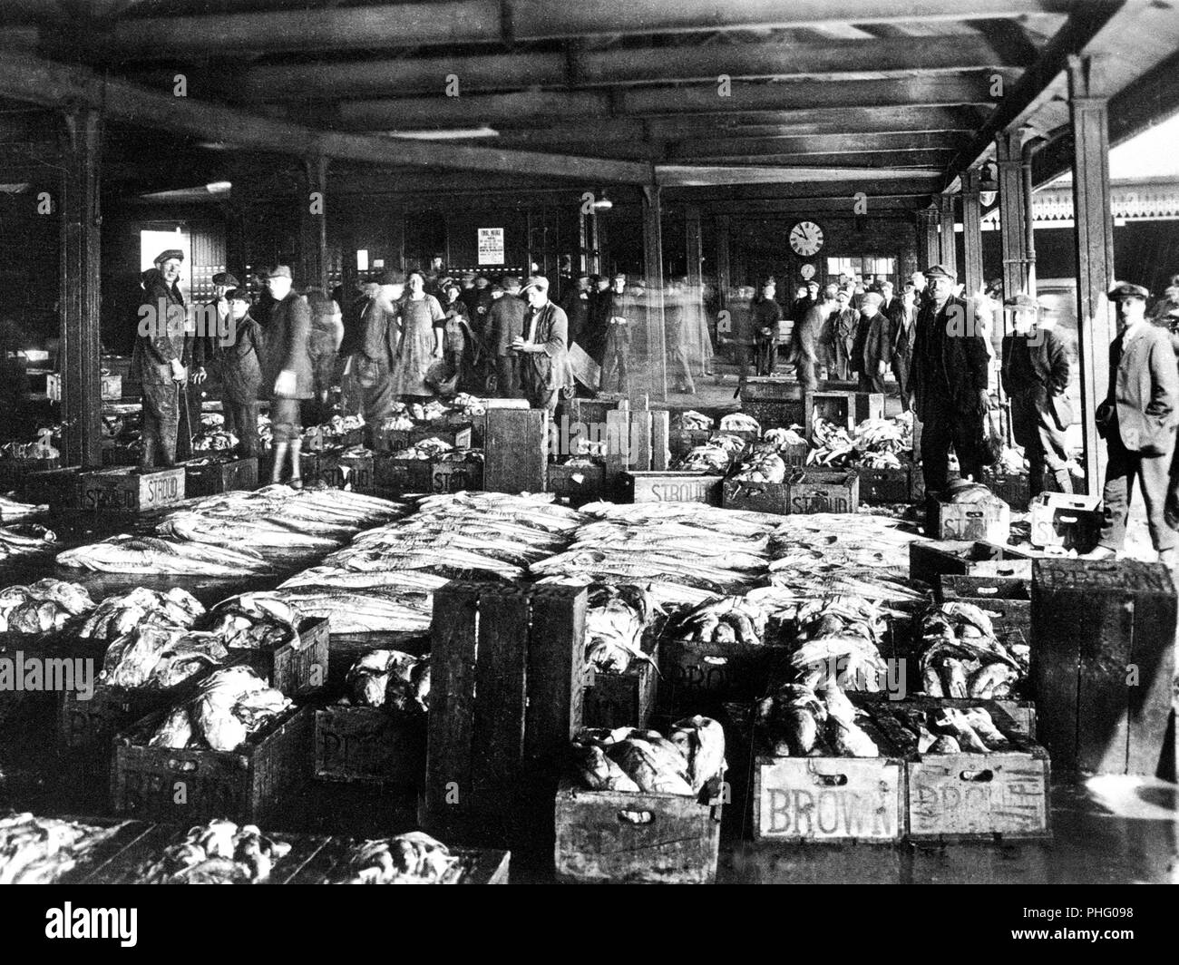 Aberdeen Fish Market, early 1900s Stock Photo Alamy