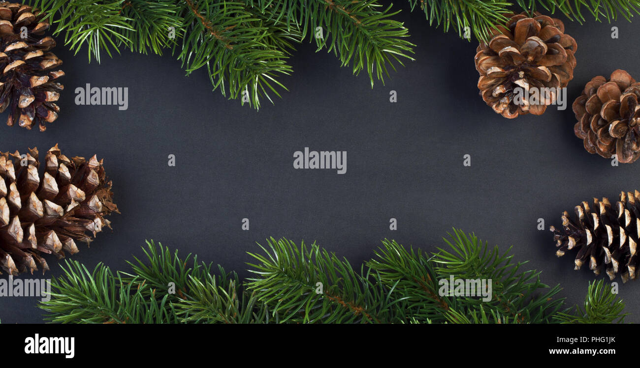 Fir branches and cones on black background, Christmas longest card ...