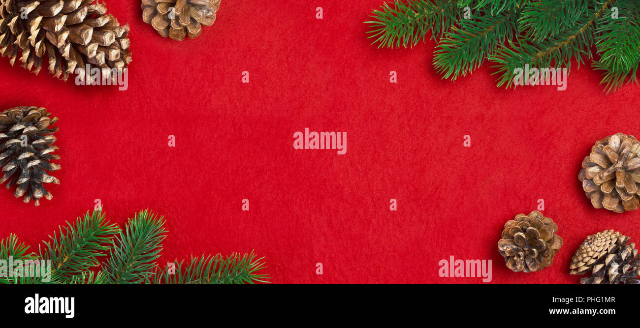 Branch of Christmas tree and cones on a red background Stock Photo - Alamy