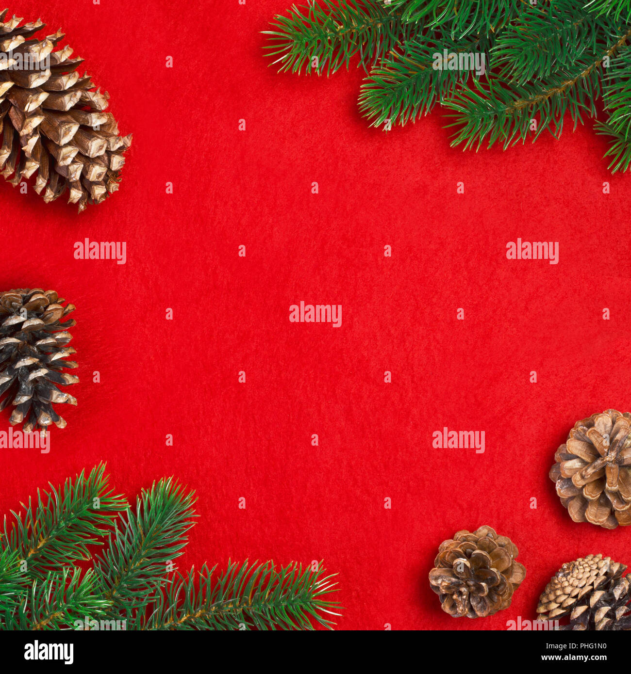 Branch of Christmas tree and cones on a red background Stock Photo - Alamy