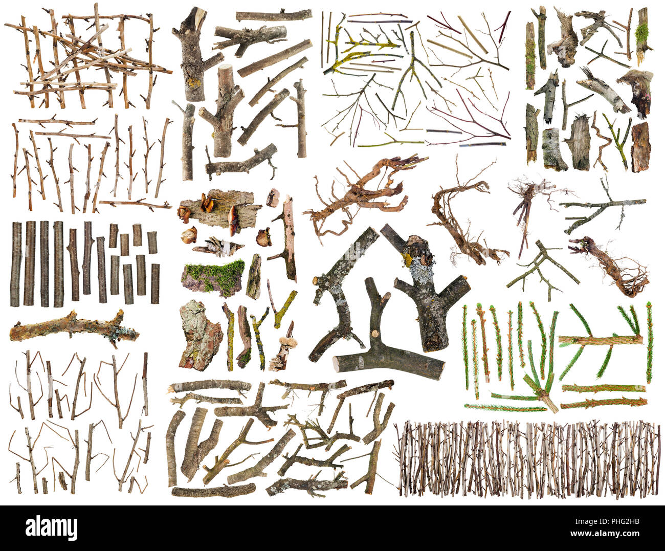 Branches set for Halloween Stock Photo Alamy