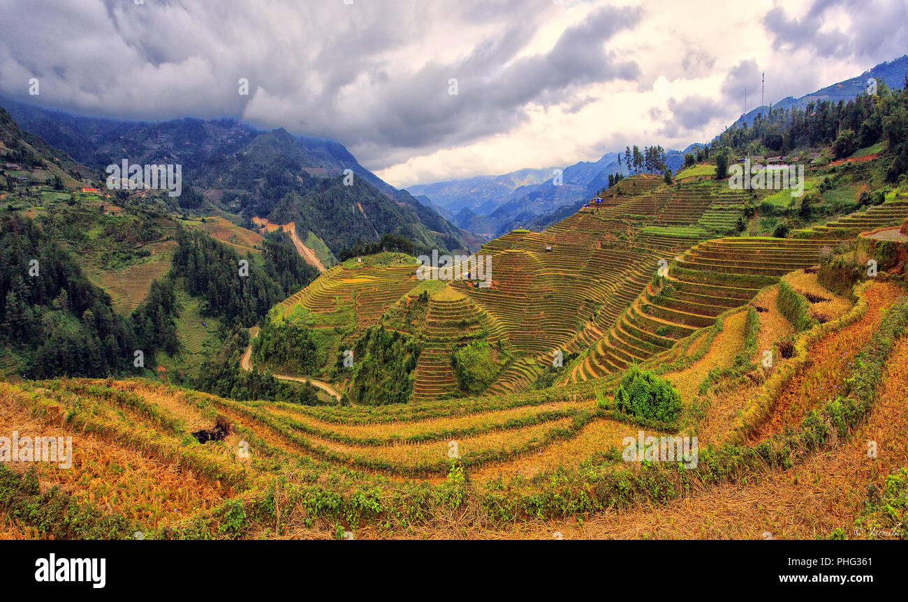 Mu Cang Chai (Yen Bai) Stock Photo