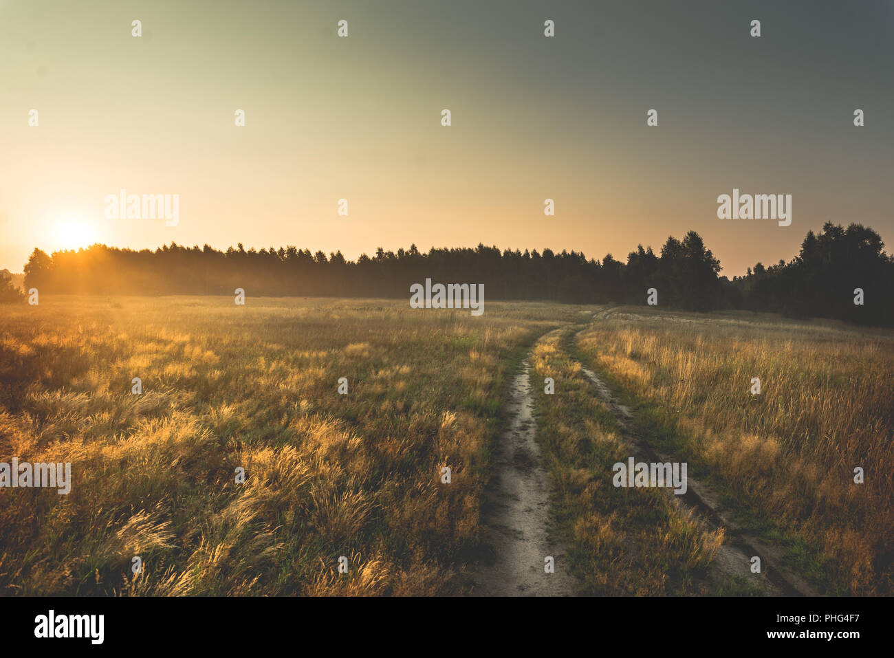 morning on meadow. sunrise landscape photo with vintage effect Stock ...