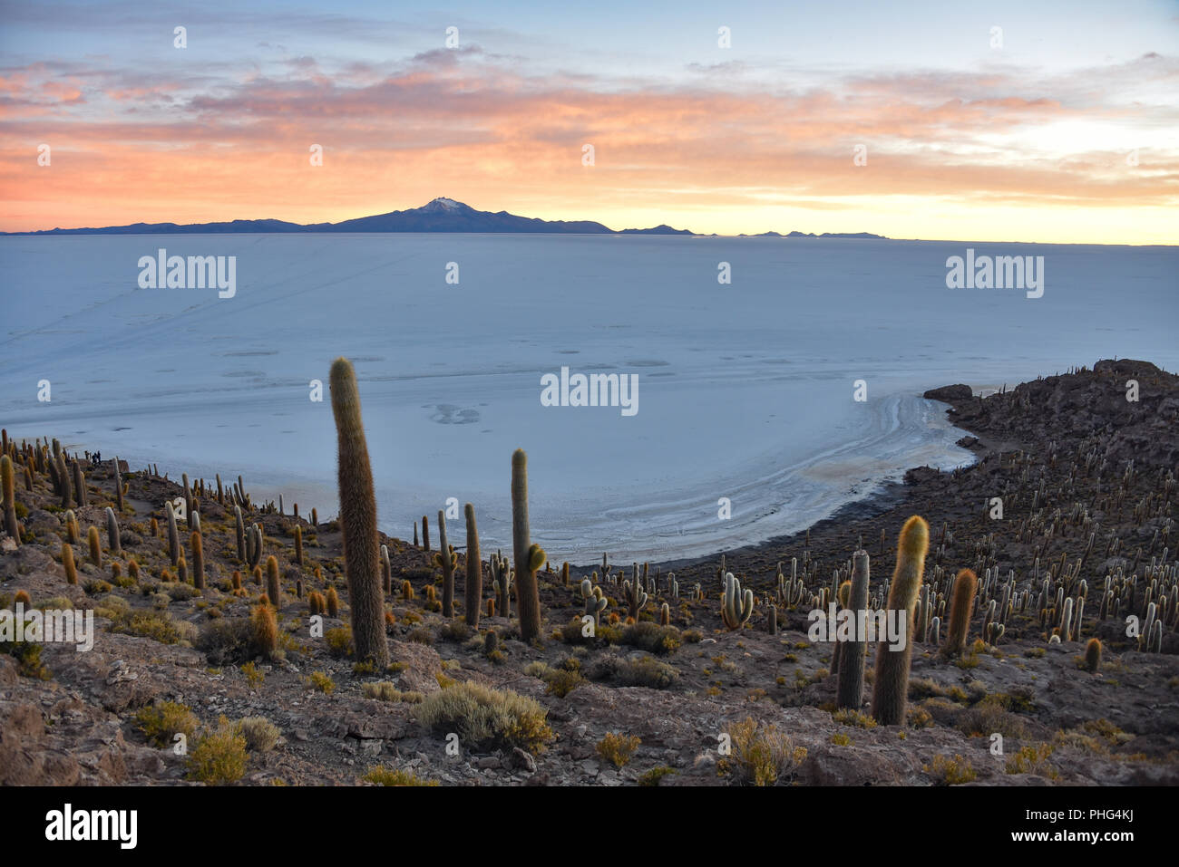Sunrise views of the Salar de Uyuni from Isla Incahuasi. Uyuni, Bolivia ...