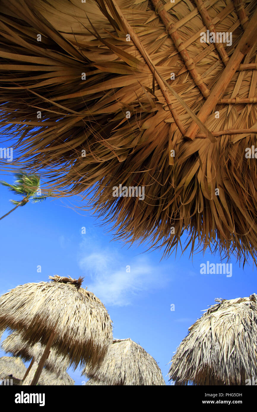 Straw umbrella on Bavaro Beach, Dominican Republic Stock Photo Alamy